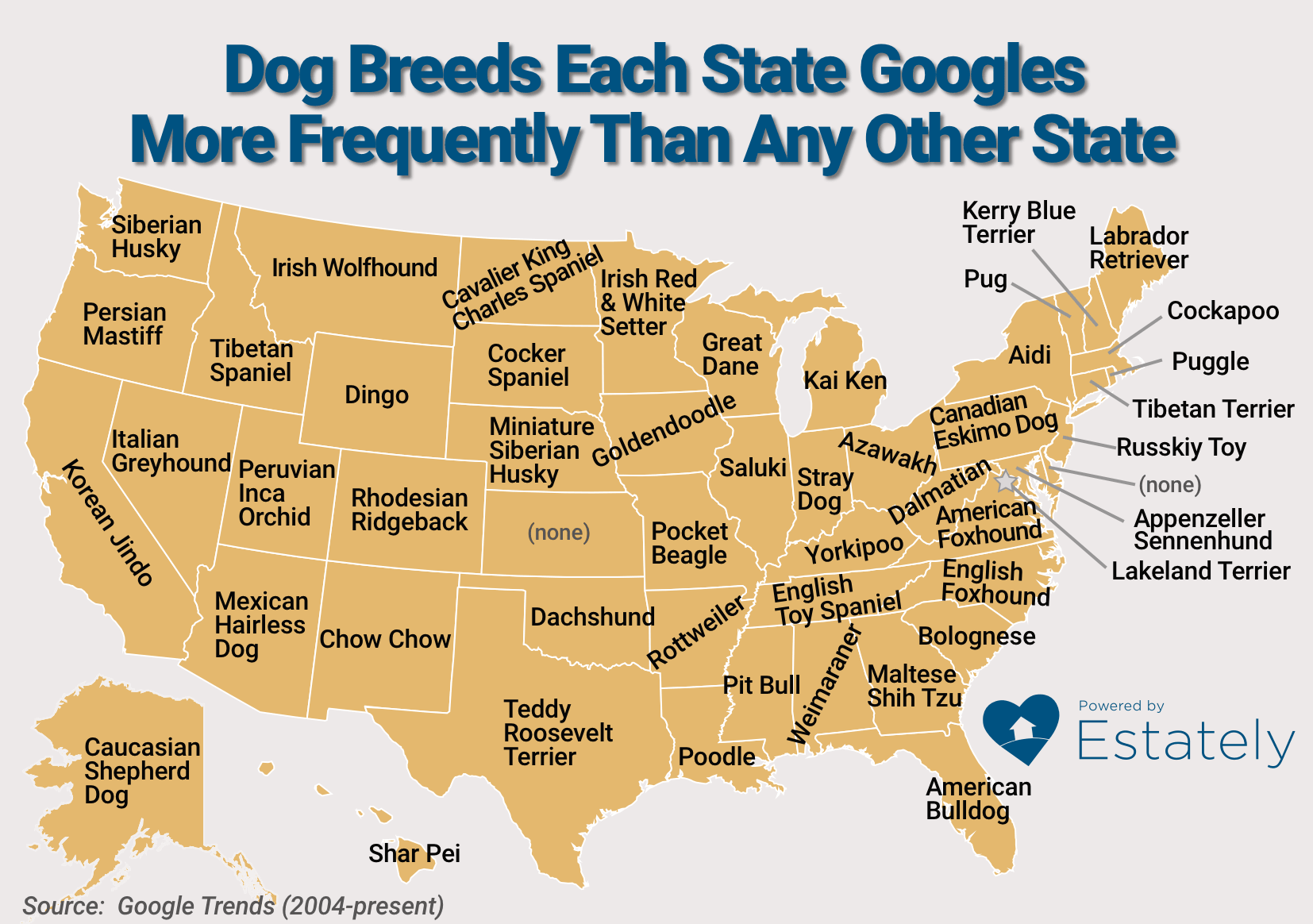 This Map Shows The Most Popular Dog Breeds In Each Of The 50 States